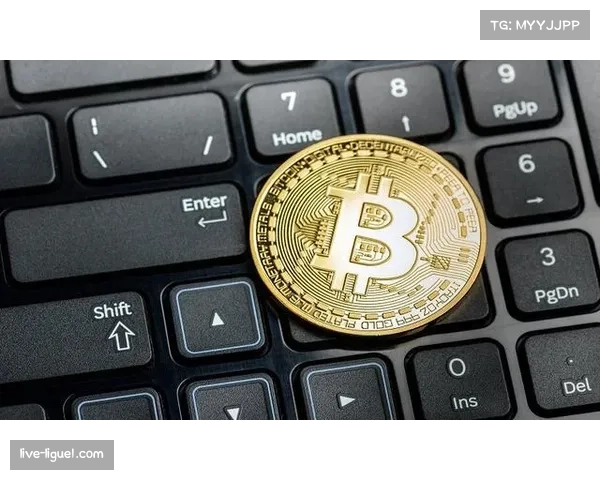 法甲联盟与加密货币平台签署新赛季袖标广告赞助协议